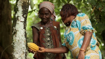 SN CSR sustainable coca